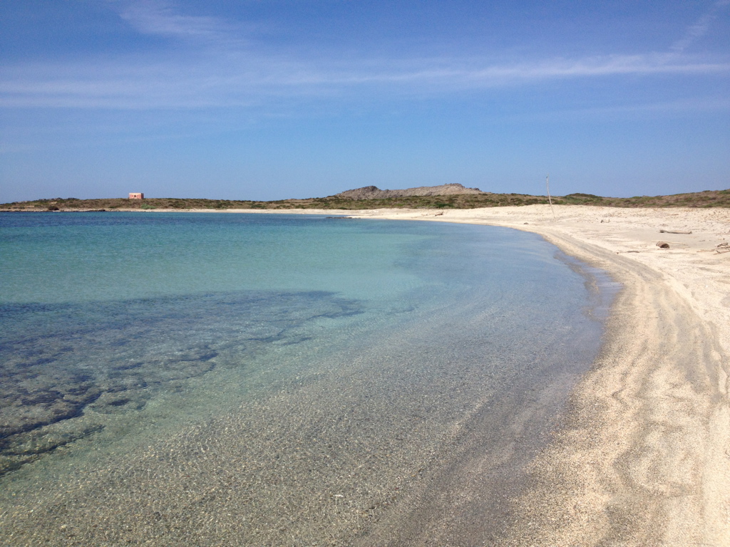 asinara-spiaggia-16