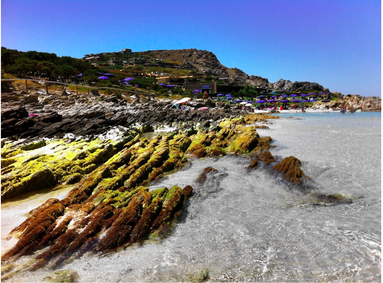 la pelosetta-spiaggia