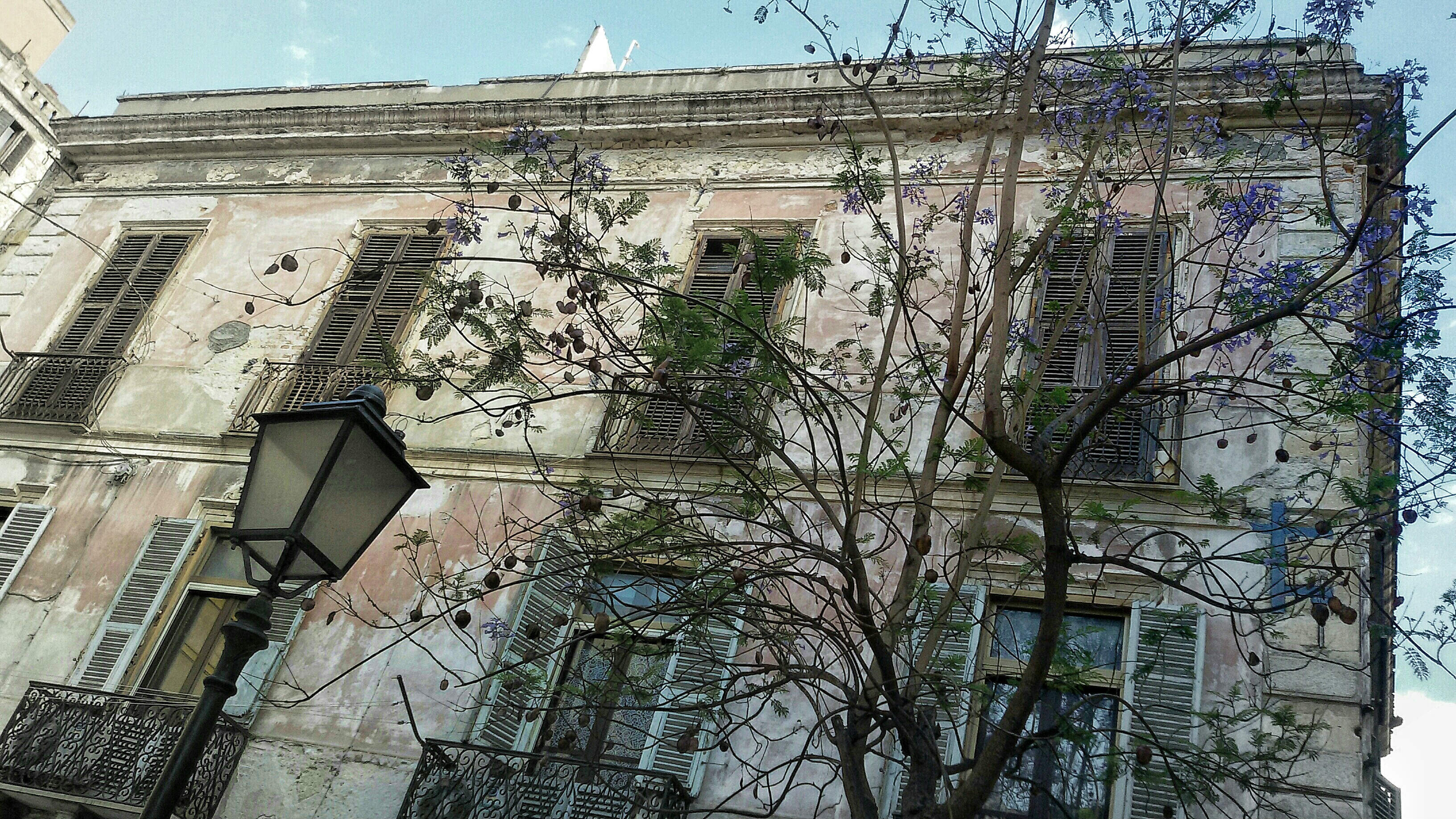 Jacaranda - Piazza San Sepolcro 2.