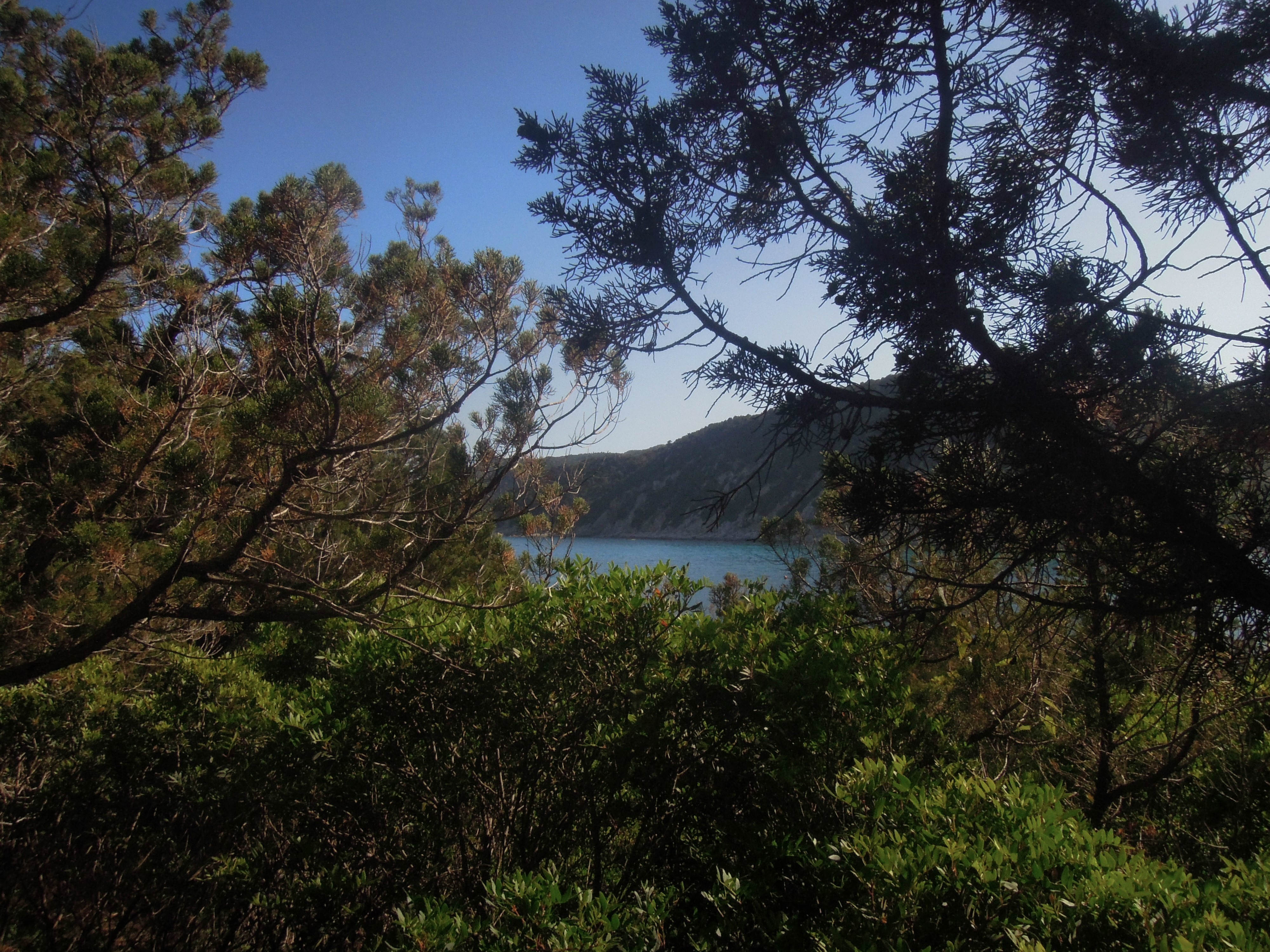 cala pira (sentiero per la torre)